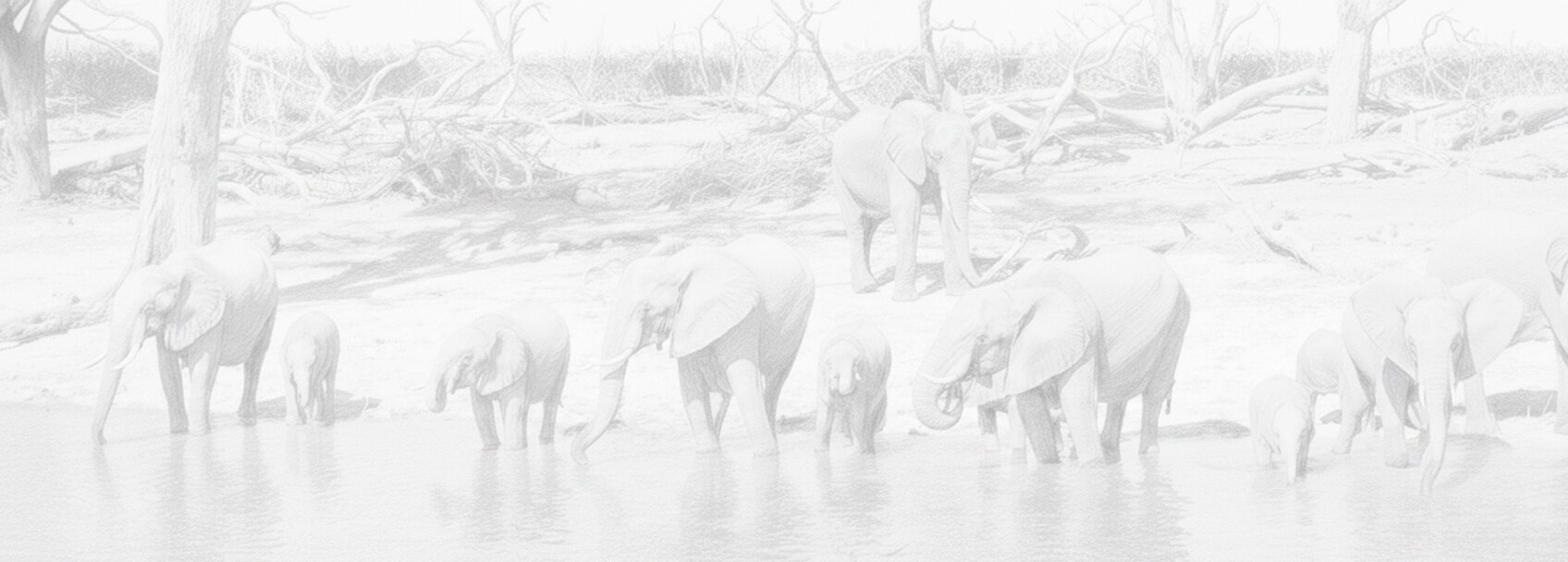 Pedido de visto Botsuana e requisitos